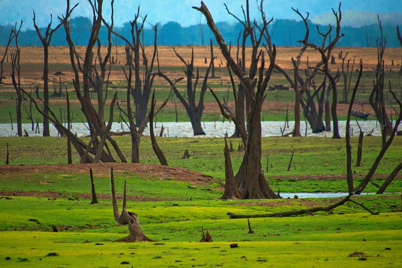 出轨分居的婚姻 出轨分居的婚姻还要吗？-第1张图片-和乐夫妻百科